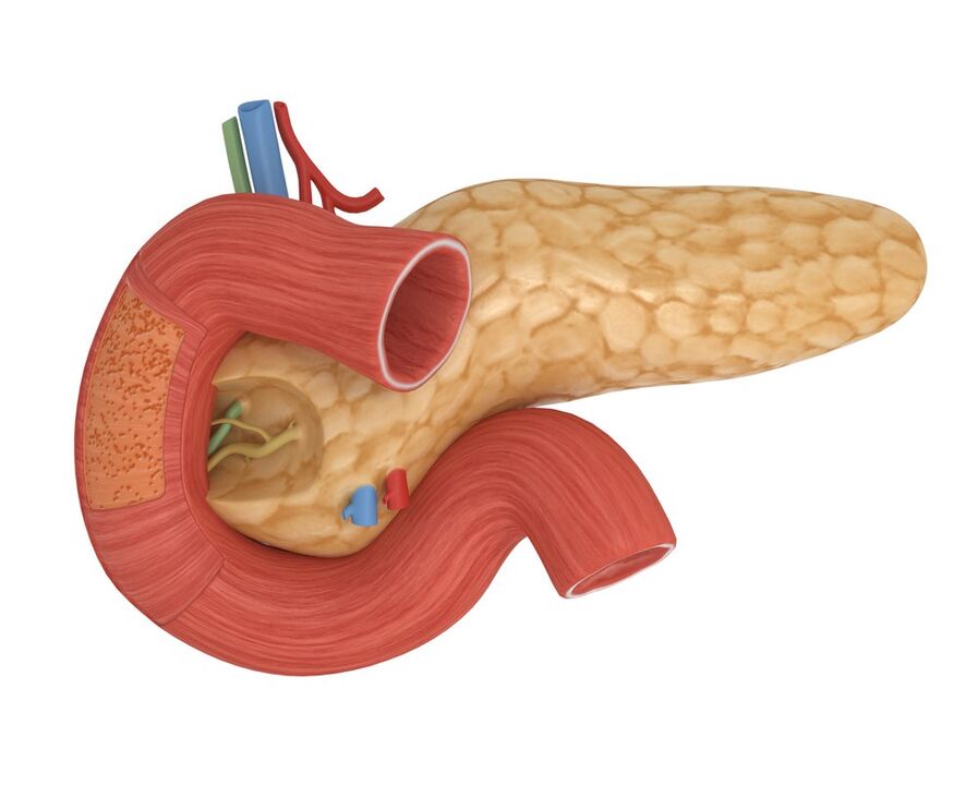 geras jautrumas kasos insulinui pavartojus Glucoren